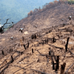Japanese AI Drones Plant Trees 10x Faster Than Humans