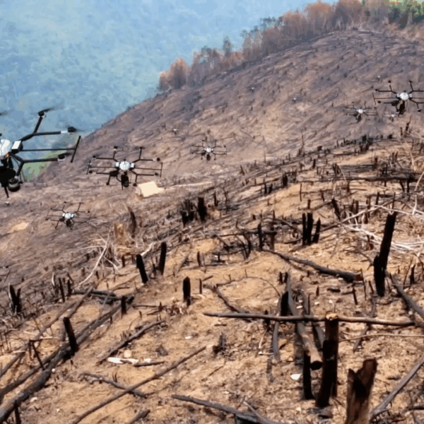 Japanese AI Drones Plant Trees 10x Faster Than Humans
