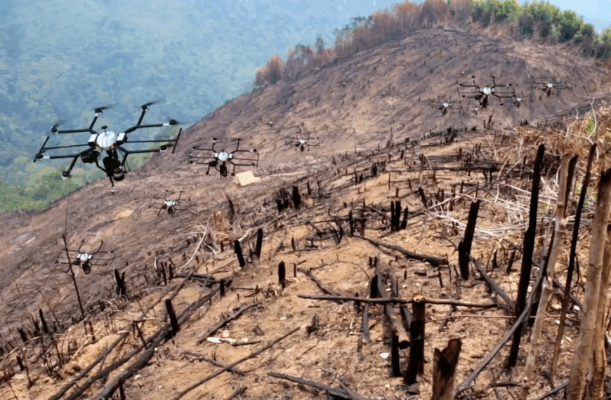 Japanese AI Drones Plant Trees 10x Faster Than Humans