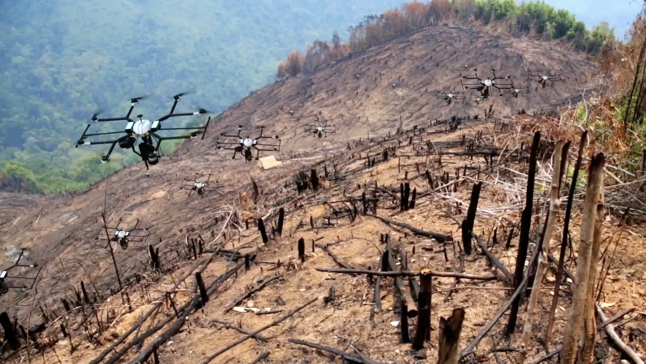 Japanese AI Drones Plant Trees 10x Faster Than Humans