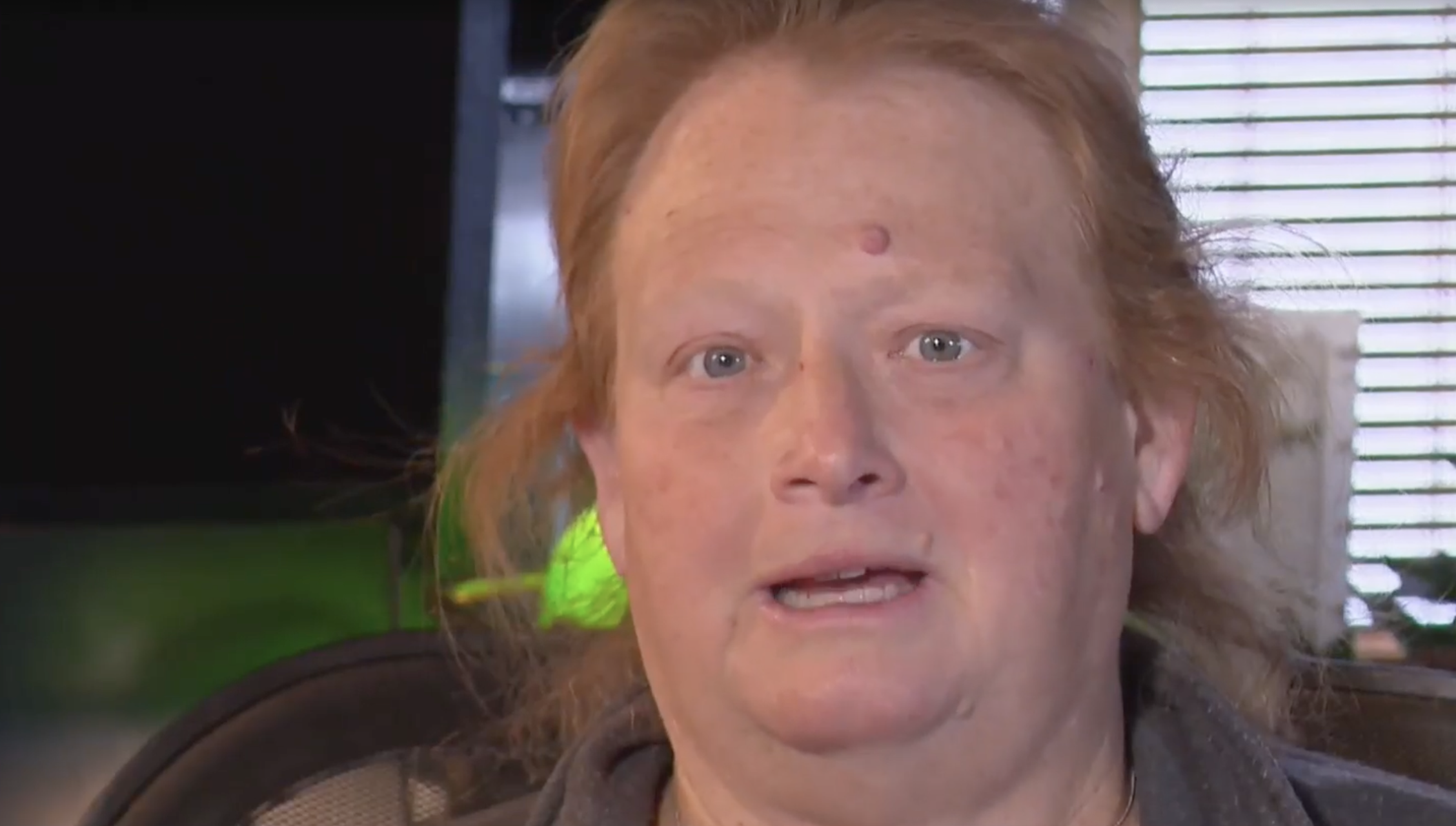 82-Year-Old Farmer Rejects $26 Million Offer to Convert Part of Their Farm Into a Data Center Despite the Offer Being About 10 Times the Going Rate for Farmland in the Area