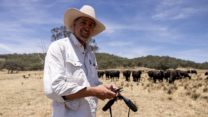 Cows Wearing Solar Collars Let Farmers Move Herds From Their Phone